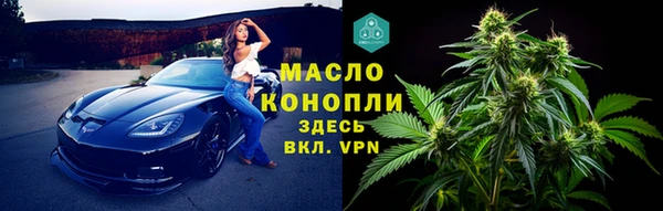 прущие грибы Снежинск