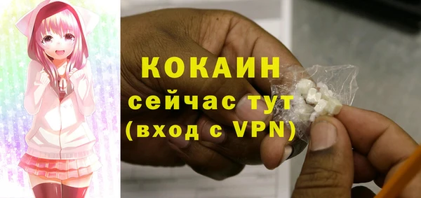 твердый Белокуриха