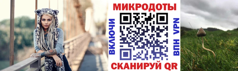 Псилоцибиновые грибы Psilocybine cubensis Валуйки